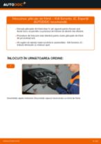 PDF Tutorial de reparație de la piese autoturisme: SORENTO I (JC)