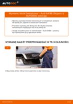 Profesjonalny poradnik wymiany produktu Filtr powietrza kabinowy w Twoim samochodzie Audi A4 b6 1.6