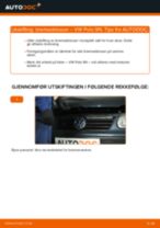Mekanikerens anbefalinger om bytte av VW Polo 9n 1.2 12V Fjærbenslager