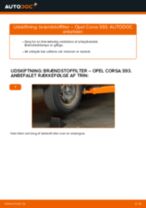 Automekaniker anbefalinger for udskiftning af OPEL Opel Corsa C 1.0 (F08, F68) Kileribberem