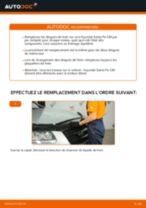 Le guide professionnel de remplacement pour Disques De Frein sur votre Hyundai Santa Fe cm 2.2 CRDi