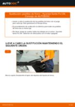 La guía profesional para realizar la sustitución de Escobillas de Limpiaparabrisas en tu Hyundai Santa Fe cm 2.2 CRDi GLS 4x4