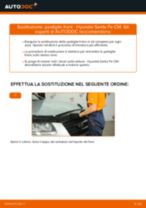 La guida professionale per la sostituzione di Dischi Freno su Hyundai Santa Fe cm 2.2 CRDi 4x4