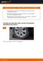 Toyota Prius W50 Blinkleuchten Glühlampe wechseln Anleitung pdf