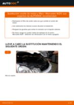 Cómo cambiar y ajustar Filtro de Combustible MERCEDES-BENZ E-CLASS: tutorial pdf