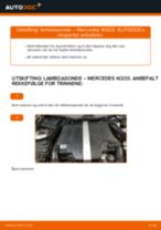 Trinn-for-trinn reperasjonshåndbøker Mercedes W202