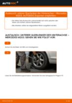 Wie Injektoren Benzin beim Mercedes W166 wechseln - Handbuch online