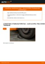 Mekanikerens anbefalinger om bytte av AUDI Audi A6 4f2 2.0 TDI Stabilisatorstag