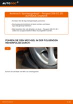 PDF-Anweisung zum Austausch und der Reparatur