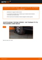 Le raccomandazioni dei meccanici delle auto sulla sostituzione di Testina dello Sterzo VW VW Lupo 6x1 1.0
