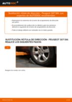 Reemplazar Bombilla luz antiniebla PEUGEOT 307: pdf gratis