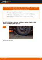 Cambiare Testina dello Sterzo MERCEDES-BENZ A-CLASS: manuale tecnico d'officina