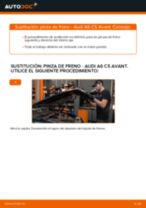 Reemplazar Pinza de freno AUDI A6: pdf gratis