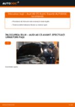 Schimbare Supapa Egr AUDI A6: manual de intretinere si reparatii