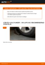 Hur byter man och justera Hjulbromscylinder bak och fram: gratis pdf guide