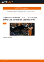 Keilrippenriemen wechseln AUDI A4: Werkstatthandbuch