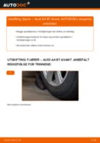 PDF med trinn for trinn-veiledning for bytte av AUDI A4 Avant (8ED, B7) Fjærer