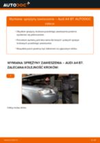 Jak wymienić Tarcze hamulcowe w FIAT SCUDO Platform/Chassis (270_) - porady i wskazówki