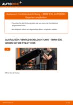 Wie Halter, Stabilisatorlagerung beim FIAT DUCATO Platform/Chassis (250) wechseln - Handbuch online