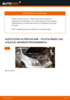 Recomendaciones de mecánicos de automóviles para reemplazar Filtro de Combustible en un TOYOTA Toyota Land Cruiser Prado 120 4.0