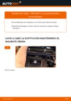 Guía completa de bricolaje sobre reparación y mantenimiento de Motor