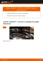 Byta Tändstift VW själv - online handböcker pdf