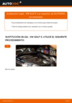 Cambiar Bujía de Encendido VW GOLF: manual de taller