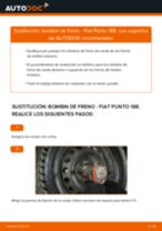 Tutorial de reparación y mantenimiento de Fiat Punto mk3 199