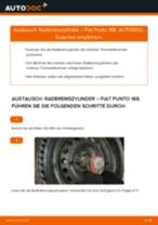 Auswechseln von Hydrauliköl für Servolenkung Anleitung PDF für FIAT PUNTO