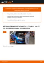 Kaip pakeisti Peugeot 206 CC 2D pakabos statramstis: priekis - keitimo instrukcija