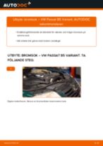 Byta Bromsok bak vänster VW PASSAT: online guide