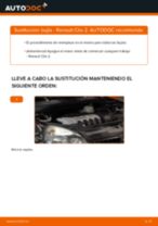 Tutorial de reparación y mantenimiento de RENAULT Clio II Hatchback (BB, CB) 2012