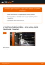 DACO Germany 454722 til ZAFIRA B (A05) | PDF manual for bytte