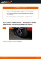 Ratschläge des Automechanikers zum Austausch von PEUGEOT Peugeot 406 Limousine 1.8 16V Koppelstange