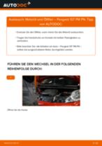 Ratschläge des Automechanikers zum Austausch von PEUGEOT Peugeot 406 Limousine 1.8 16V Ölfilter