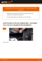 Instrucciones gratuitas en línea sobre cómo renovar Rejilla paragolpes VW PASSAT Variant (3C5)