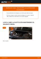 Instalación Bujía de encendido AUDI A3 Sportback (8PA) - tutorial paso a paso
