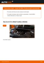 Recomandările mecanicului auto cu privire la înlocuirea AUDI Audi A3 8pa 1.9 TDI Brat Suspensie