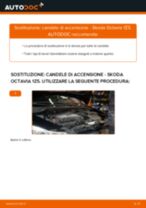 Le raccomandazioni dei meccanici delle auto sulla sostituzione di Olio Trasmissione e Olio Ripartitore di Coppia SKODA SKODA 105,120 (742) 1.0 105 S,L