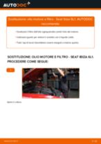 PDF manuale di sostituzione: Filtro olio motore SEAT Ibiza III Hatchback (6L)