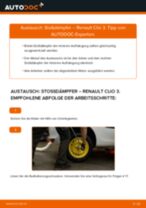 Wie Federbein RENAULT CLIO wechseln und einstellen: PDF-Leitfaden
