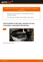 Come cambiare filtro aria su Peugeot 307 SW - Guida alla sostituzione