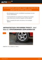 Αλλαγή Σετ ρουλεμάν τροχού πίσω και εμπρος SEAT IBIZA: online εγχειριδιο