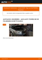Wie Steuerkette AUDI A4 tauschen und einstellen: PDF-Tutorial