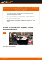 PDF-Anweisung zum Austausch und der Reparatur
