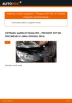 Kaip pakeisti Peugeot 307 SW variklio pagalvės: dešinė pusė - keitimo instrukcija