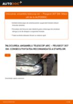 Tutorialul etapizat în format PDF pentru înlocuirea Set saboti frana la Audi A4 b6