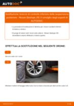Le raccomandazioni dei meccanici delle auto sulla sostituzione di Testina dello Sterzo NISSAN Nissan Qashqai j10 2.0 dCi Allrad