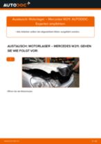 MERCEDES-BENZ E-CLASS (W211) Motoraufhängung wechseln: Handbuch online kostenlos