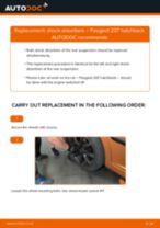How to change Struts and shocks rear and front on PEUGEOT 207 (WA_, WC_) - manual online